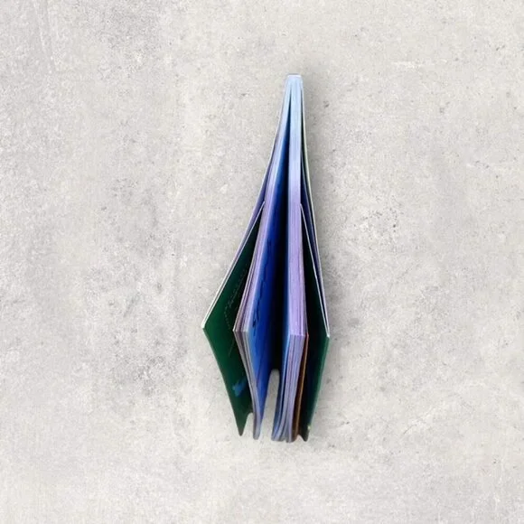 Discovery Kids Travel Through the Amazing World of Wild Animals Factivity Book - Picture 3 of 3